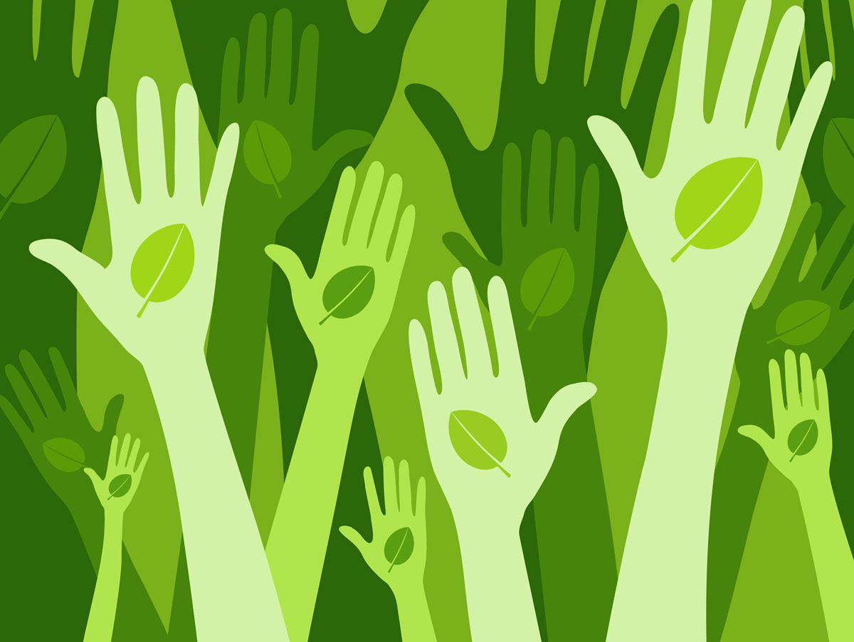 It’s Easy Being Green