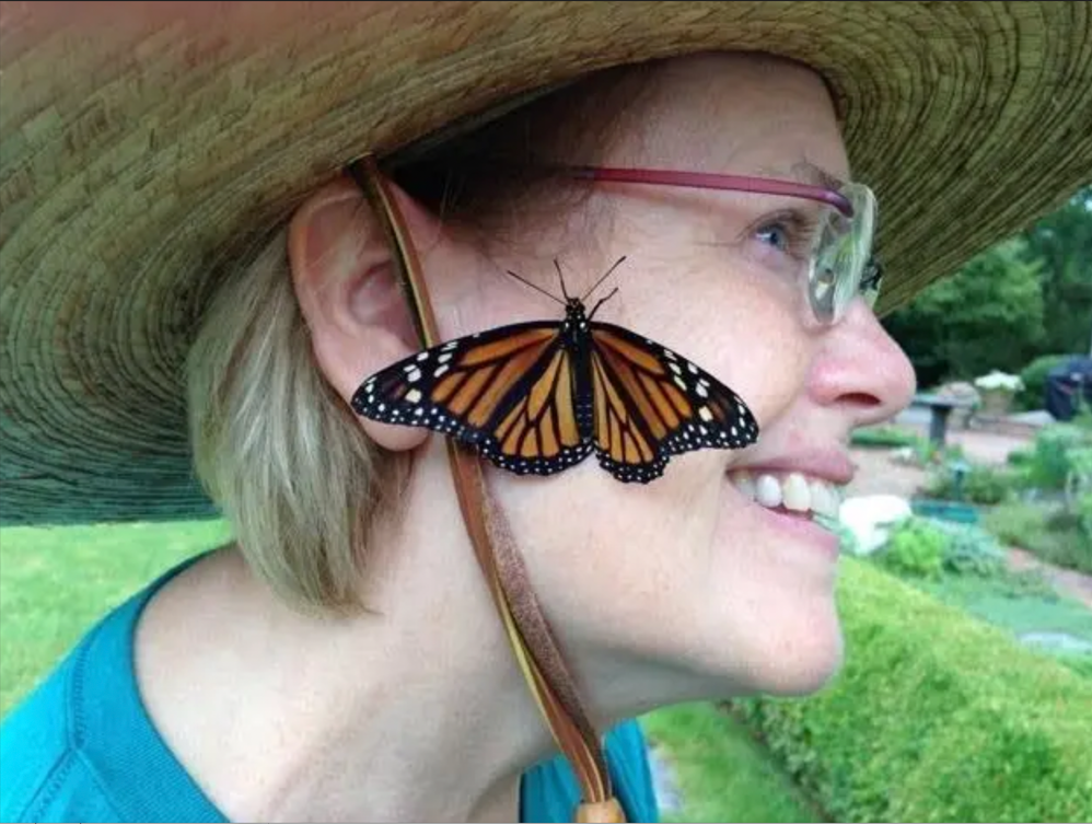NATIONALLY REGISTERED MONARCH WAYSTATION AT EASTCASTLE PLACE DEDICATED TO CONSERVING AND PROTECTING MONARCH HABITATS
